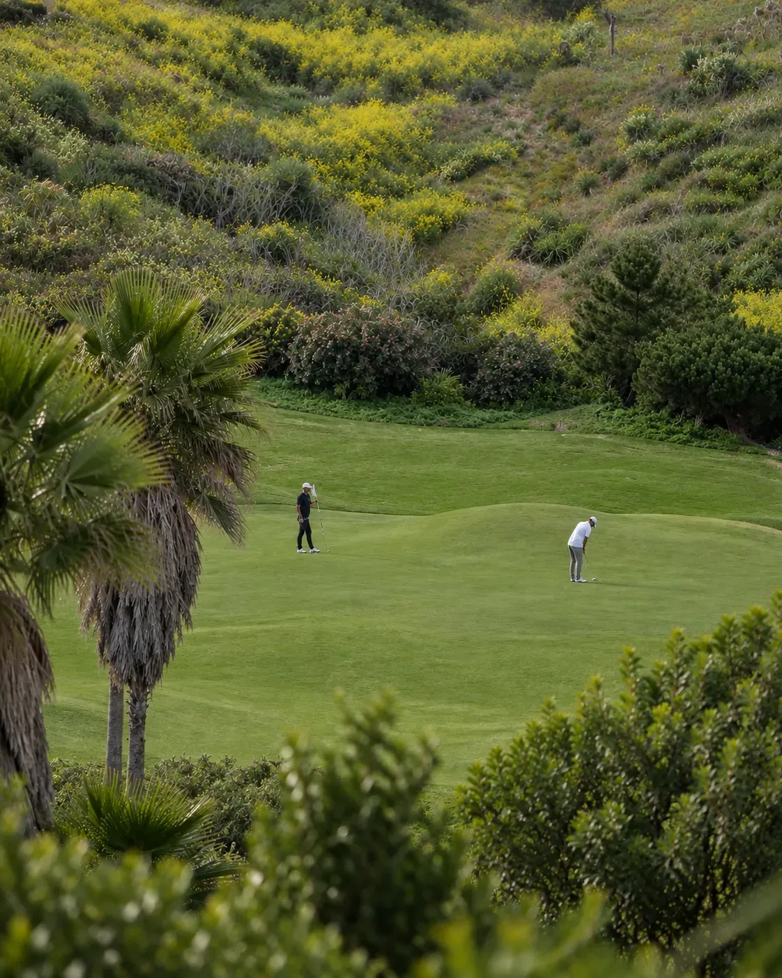 Campo de golf de Real del Mar